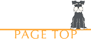 PAGE TOP
