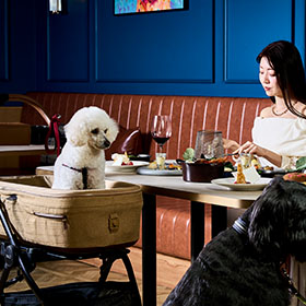 ワンちゃんアメニティ