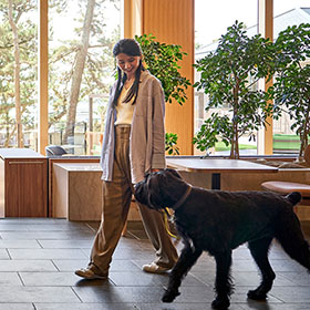 ワンちゃんアメニティ