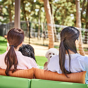 ワンちゃんアメニティ