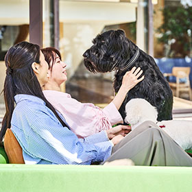 ワンちゃんアメニティ