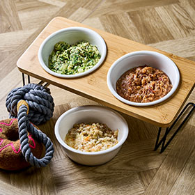 ワンちゃんアメニティ