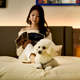 ワンちゃんアメニティ