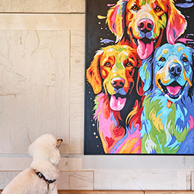 ワンちゃんアメニティ