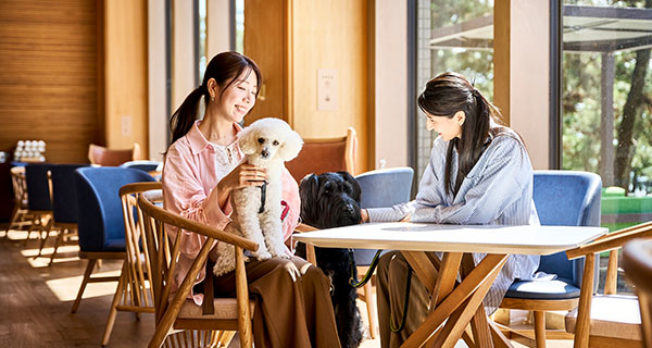 フリーフロー画像