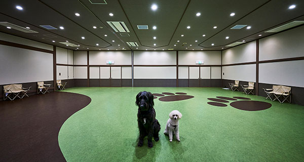 屋内ドッグラン