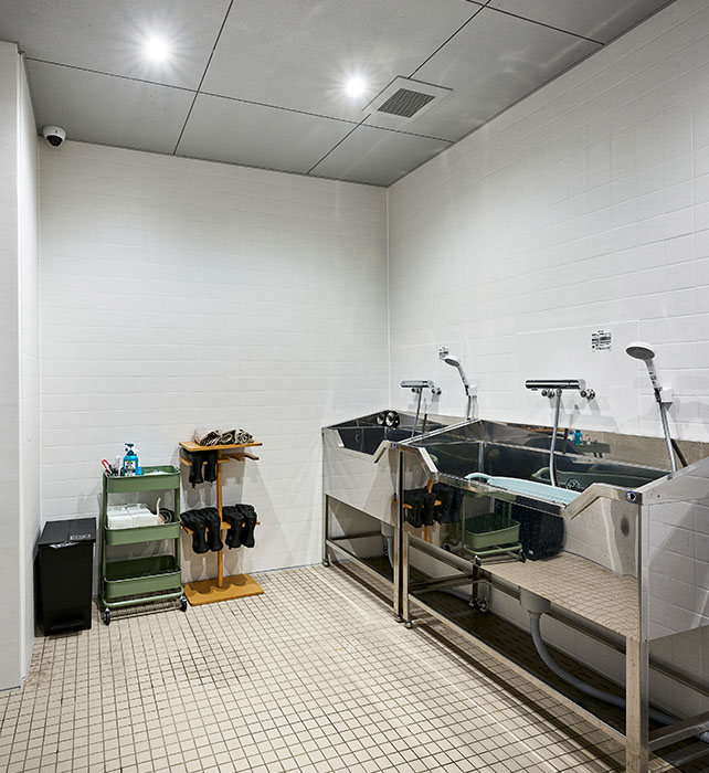 セルフグルーミングルーム