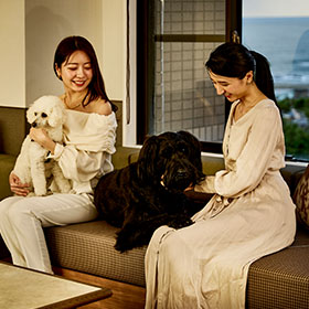 ワンちゃんアメニティ