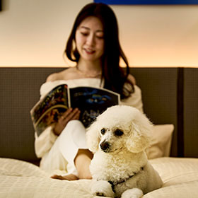 ワンちゃんアメニティ