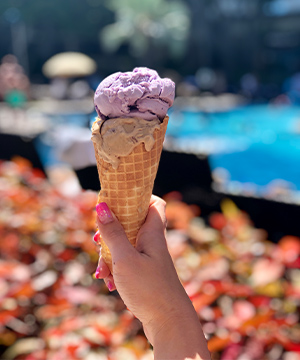 館内施設の画像