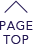 PAGE TOP