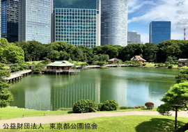 浜離宮恩賜庭園