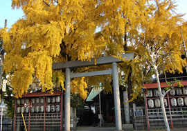 築地 波除神社