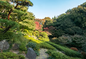 池田山公園