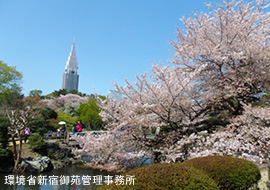 新宿御苑