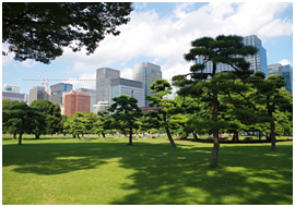 皇居外苑