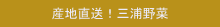 三浦野菜をたっぷり召し上がれ!