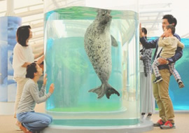 京都水族館