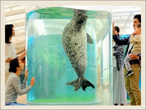 京都水族館