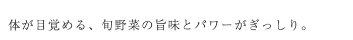 体が目覚める、旬野菜の旨味とパワーがぎっしり。