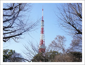東京タワー