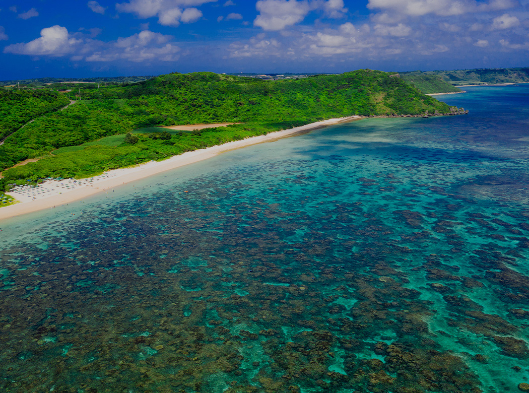 新城海岸の画像